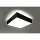 SL.0136_HORUS_Sollux