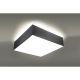 SL.0137_HORUS_Sollux