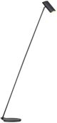 19700/01/30_HESTER_Lucide