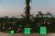 3186_CUBY_New Garden