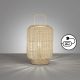 50738_Nature_Fischer&Honsel