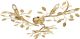 96830_Linette_Endon