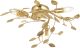 96831_Linette_Endon