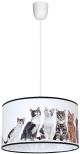 MLP4281_CATS_Milagro