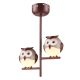 ML244_OWL_Milagro