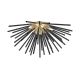C0491-06B-F7BC_URCHIN_Zuma Line