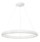 LE41501_TOLU_Nova Luce