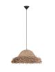 LE44491_ALLENDE_Nova Luce