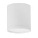 LE61439_CAUCASIA_Nova Luce