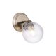 MOD074CW-01BS_Daisy_Maytoni