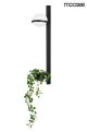 MSE010400222_MOOSEE PLANT WALL_King Home