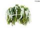 MSE1501100436.WIST_GARDENS WISTERIA_King Home