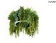 MSE1501100557_GARDENS_King Home