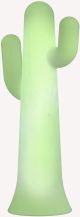 3090_PANCHO LIME_New Garden