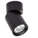 LP-6398/1WS BK_Pointa_Light Prestige