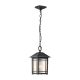 QZ-CEDAR-POINT8-M-BK_Cedar Point_Quoizel
