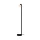 R5021009A-1F_STEM_Zuma Line
