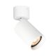 SPL-23436-1R-WH_Nesto_Italux