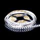 TAS4229SLL_PROline_SMD LED