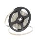 TAS4625SLL_HOMEline_SMD LED