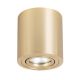 LP-5441/1SM GD_Tulon_Light Prestige