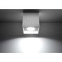 Sollux QUAD SL.0027 Lumină montată pe suprafață 1x40W/GU10