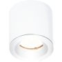 Maxlight FORM C0215 Lumină montată pe suprafață 1x50w/gu10 ip65