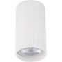 TK Lighting TUNE 10023 Lumină montată pe suprafață 1x10W/GU10 IP20