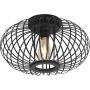 Paul Neuhaus RACOON 11410-18 Lampă de tavan 5x40W/E27 ip20