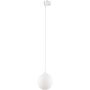 TK Lighting TRACER 3f 11661 Proiector de șină 1x8W/G9 IP20