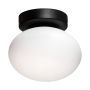 Zuma Line OMI 1188 Lampă de tavan 1x5W/G9 IP20