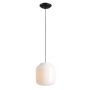 Aldex FLASK ORCHID L 8500G1_L Lampă cu pendul 1x15W/E27