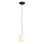 Aldex FLASK ORCHID S 8500G1_S Lampă cu pendul 1x10W/E14