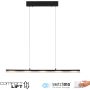 Paul Neuhaus NELE 12288-18 Lampă cu pendul 1x24W/LED 3000k 2900lm ip20