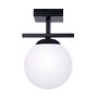 Zuma Line GLOBE 1210 Lampă de tavan 1x10W/E14 IP20