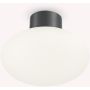 Ideal Lux CLIO 148861 Lampă de tavan 1x42W/E27 ip44