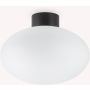 Ideal Lux CLIO 148878 Lampă de tavan 1x42W/E27 ip44