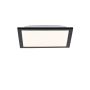 Paul Neuhaus FLAT 14740-18 Panou LED 1x6W/LED 3000K 485LM IP20