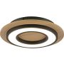 Paul Neuhaus TOLA 14560-18 Lampă de tavan 1x18W/LED 3000k 2200lm ip20