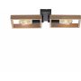 Paul Neuhaus FRANKY 15657-18 Lampă de tavan 2x60W/E27 ip20