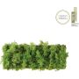 Paul Neuhaus GREEN CARL 15637-66 Aplique de perete 6x6,5W/LED 3000k 780lm ip20