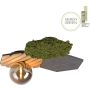 Paul Neuhaus GREEN HEX 15199-70 Lampă de tavan 1x5W/G9 ip20