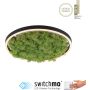 Paul Neuhaus GREEN RITUS 15391-66 Lampă de tavan 1x20W/LED 3000k 630lm ip20