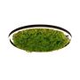 Paul Neuhaus GREEN RITUS 15392-66 Lampă de tavan 1x28W/LED 3000k 960lm ip20