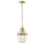 Cosmolight WHITLEY P01064AU Lampă cu pendul 1x60W/E27 ip23