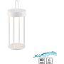 Paul Neuhaus ANSELM 19300-16 Lampă de masă 1x1,5W/LED 2700k 130lm ip44