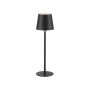 Paul Neuhaus BOTERIA 19251-18 Lampă de masă 1x2,5W/LED 3000K 180lm IP20