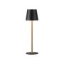 Paul Neuhaus EURIA 19250-68 Lampă de masă 1x2,5W/LED 3000K 180lm IP20