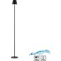 Paul Neuhaus EURIA 19252-18 Lampă de podea 1x2,5W/LED 3000k 320lm ip54