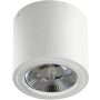 AZzardo ALIX 230V AZ3541 Lumină montată pe suprafață 1x50W/ES111/GU10 IP20